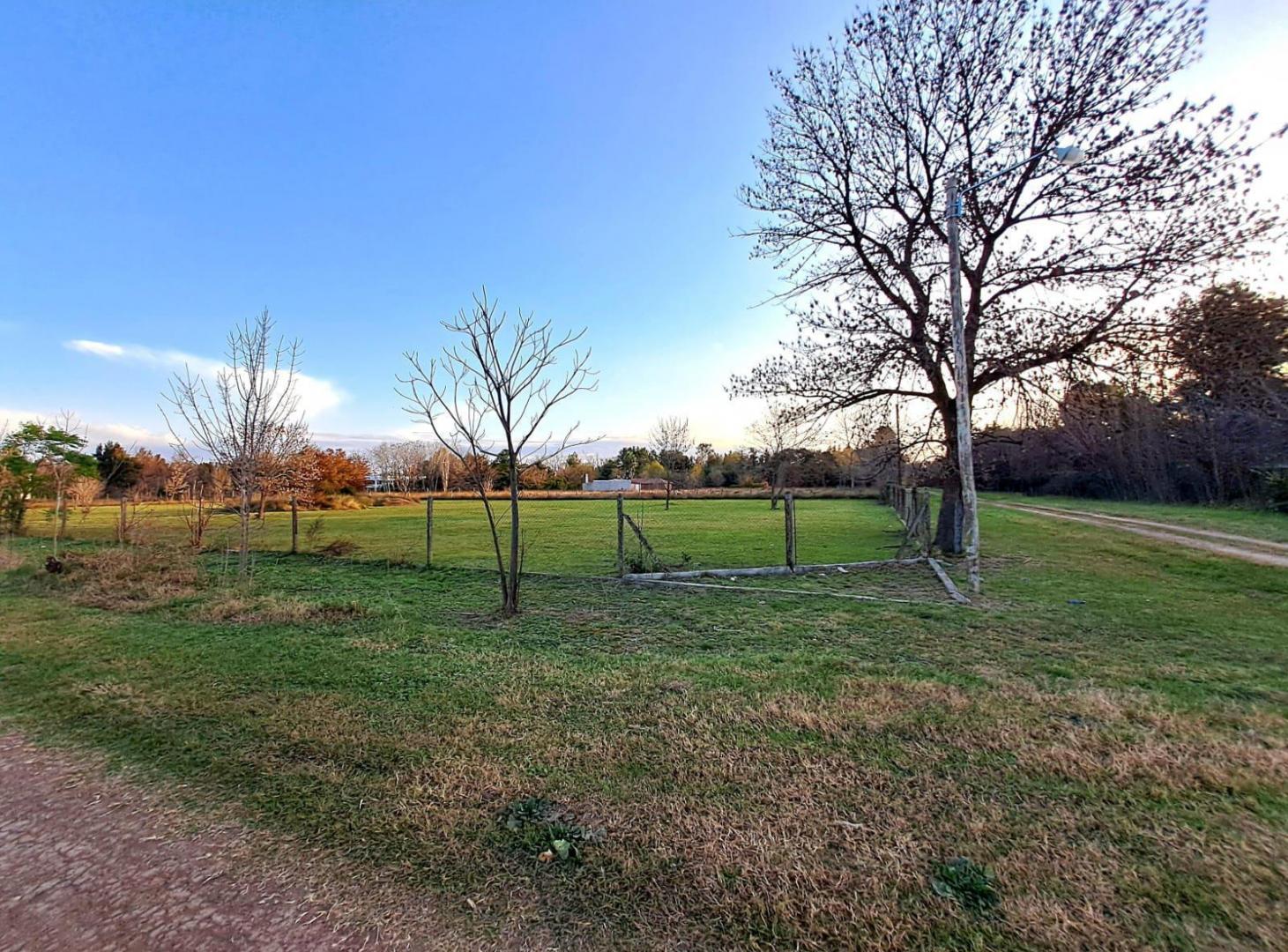 Foto de RETASADO - Venta de Terreno de 5190 m2 en Neruda y Araoz Funes, imagen 5
