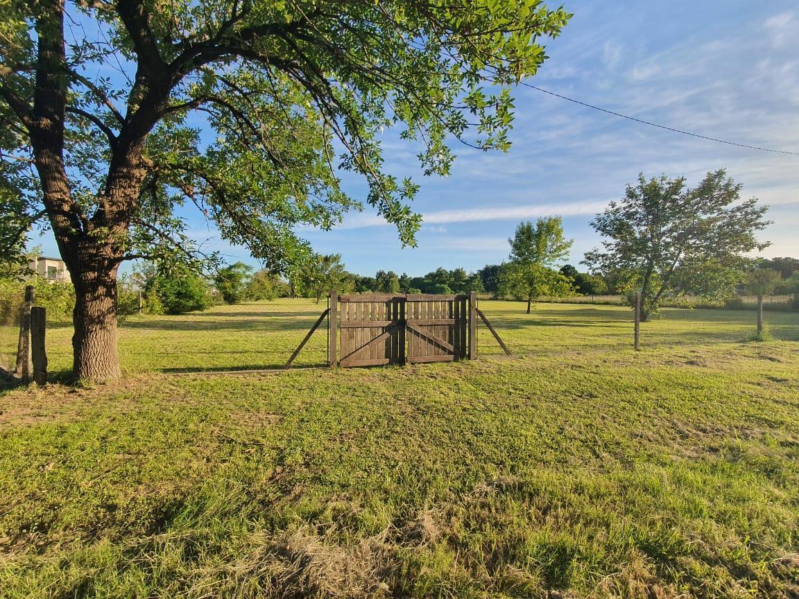 Foto de RETASADO - Venta de Terreno de 5190 m2 en Neruda y Araoz Funes, imagen 1