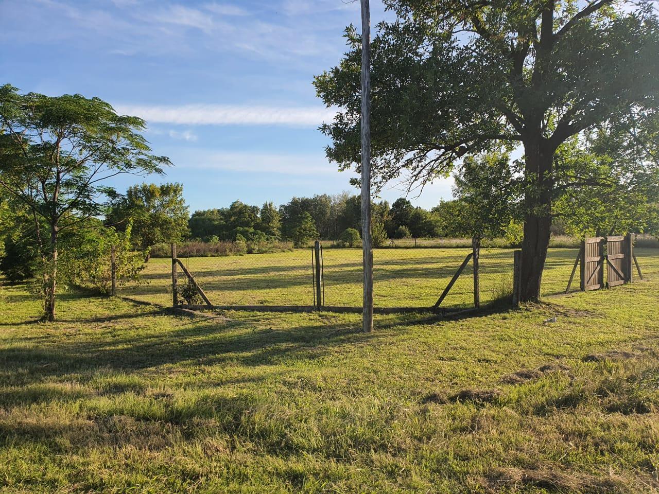 Foto de RETASADO - Venta de Terreno de 5190 m2 en Neruda y Araoz Funes, imagen 4