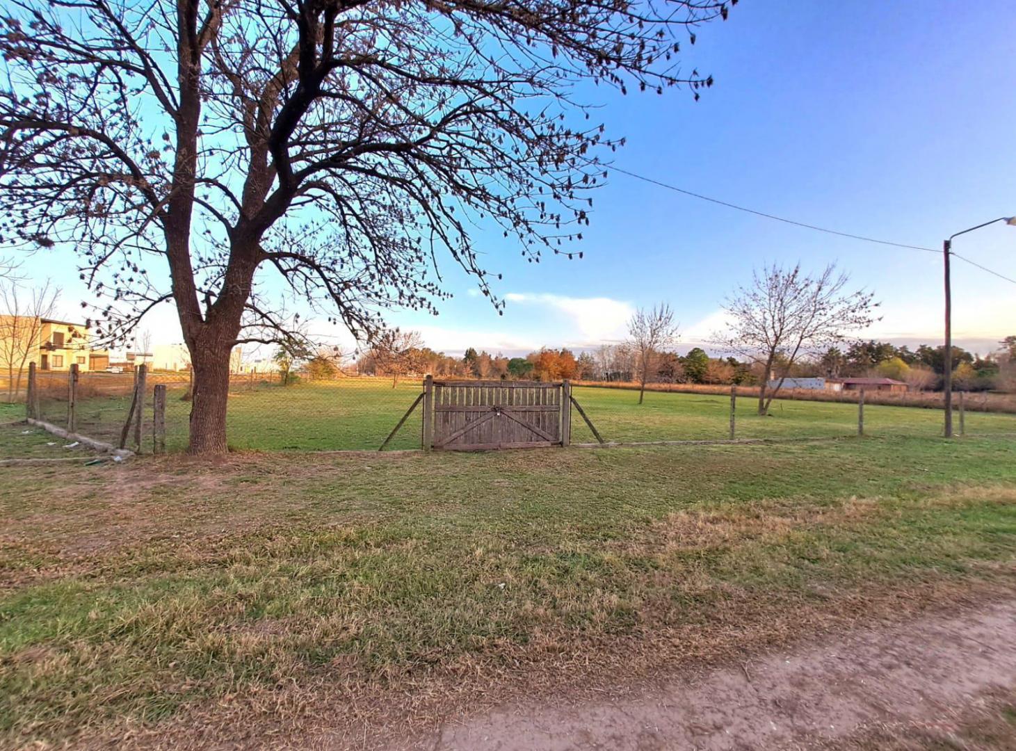 Foto de RETASADO - Venta de Terreno de 5190 m2 en Neruda y Araoz Funes, imagen 5