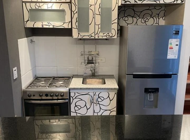 HERMOSO DUPLEX TERRAZAS DE PUERTO MADERO 3