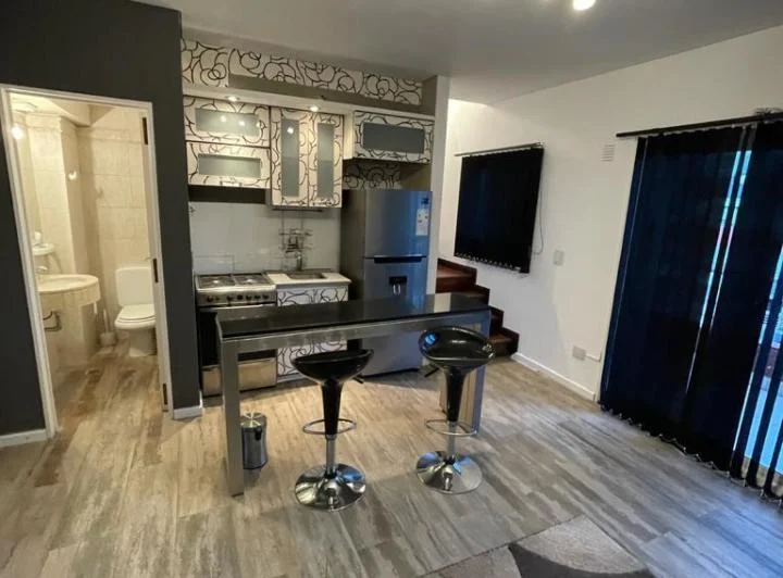 HERMOSO DUPLEX TERRAZAS DE PUERTO MADERO 5