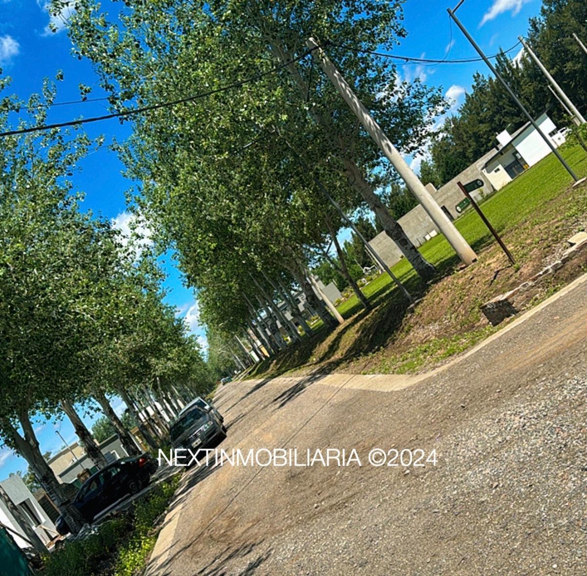 Foto de LOTE FINANCIADO O PERMUTA 1000 METROS EN BARRIO PRIVADO PIÑERO, imagen 3