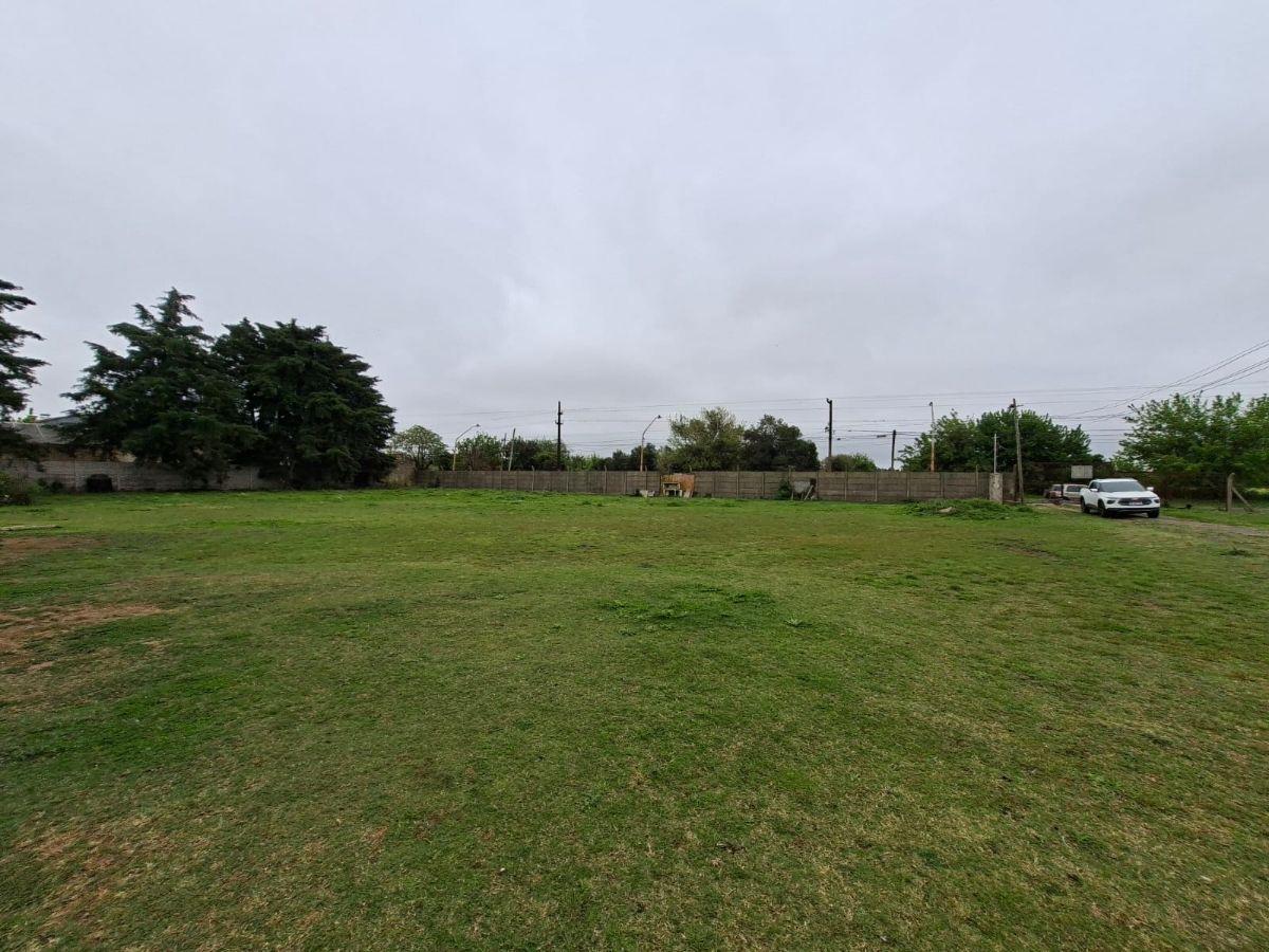Foto de FRACCIÓN INDUSTRIAL 7130 M2 CON GALPÓN - VILLA GDOR GALVEZ, imagen 3