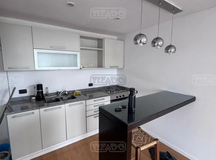 Departamento  en Alquiler en Palermo, Capital Federal, Buenos Aires 4