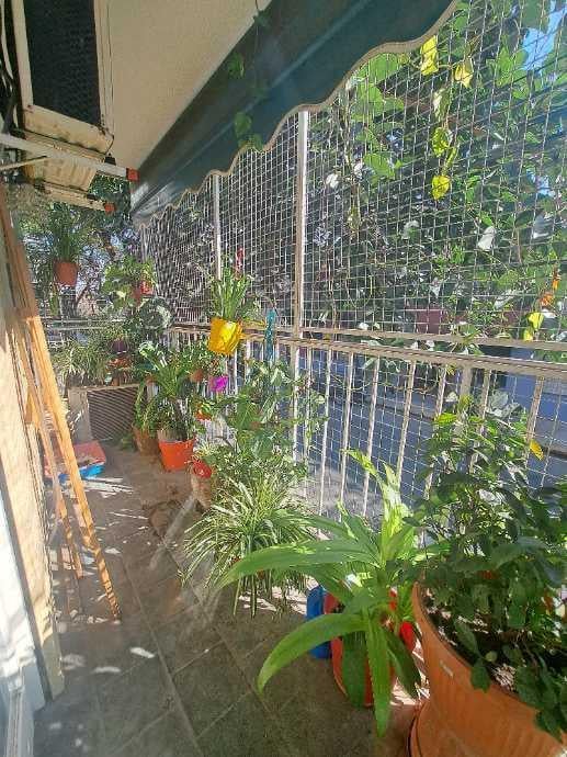 Foto de DEPARTAMENTO 3 AMBIENTES, imagen 2