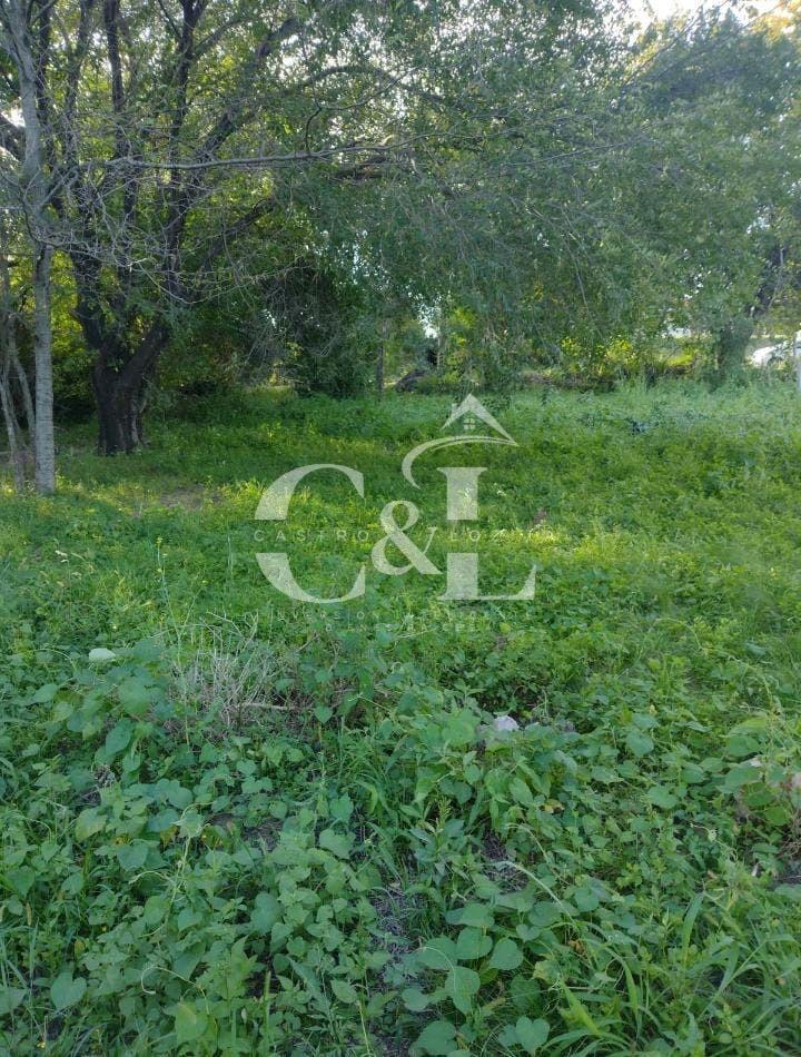 Venta Terreno de 1000 m² Sobre Colectora de Ruta 28. B° Los Chañares - Tanti 5
