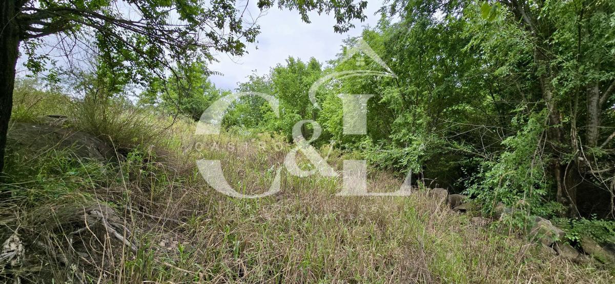 Se Vende Potencial Terreno de 7.017 m² en Parque Siquiman. 5