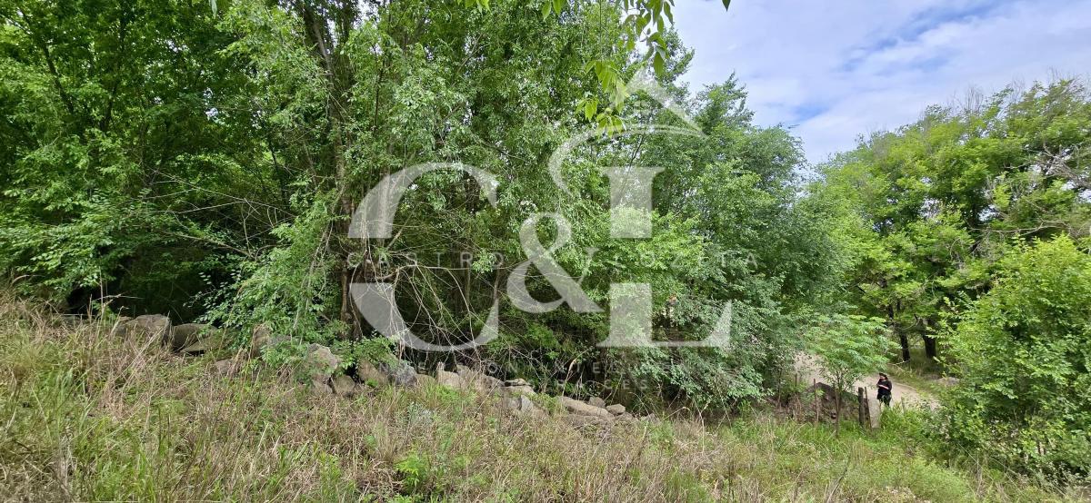 Se Vende Potencial Terreno de 7.017 m² en Parque Siquiman. 3