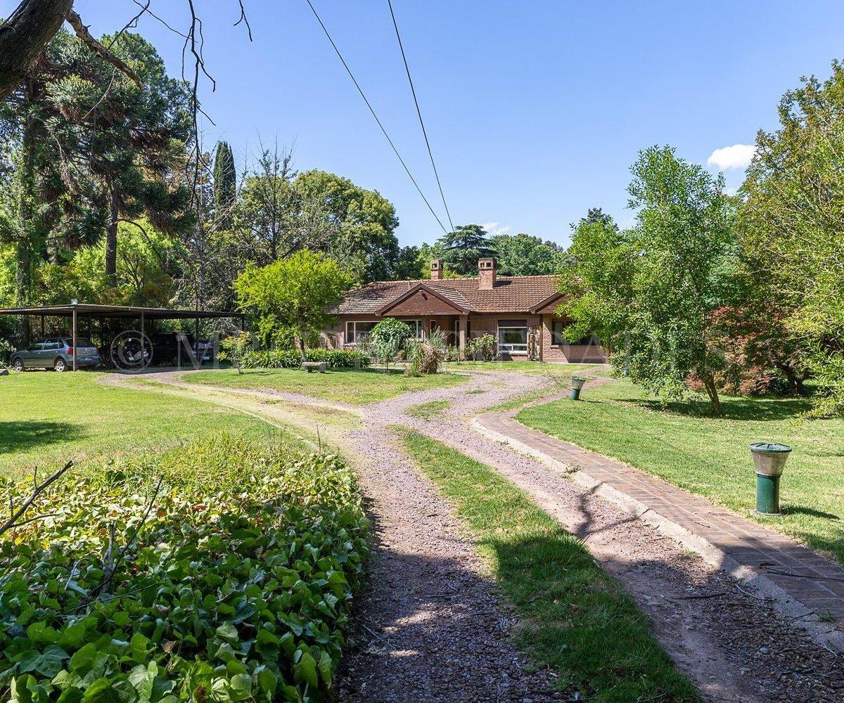 Venta de Casa con Gran Terreno Arbolado 4