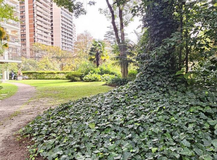 Departamento en Belgrano 2