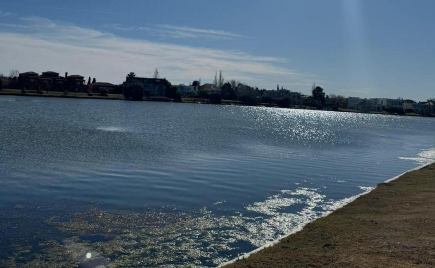 VENTA | Lote con excelente espejo de agua al lago central , Los Puentes, Nordelta