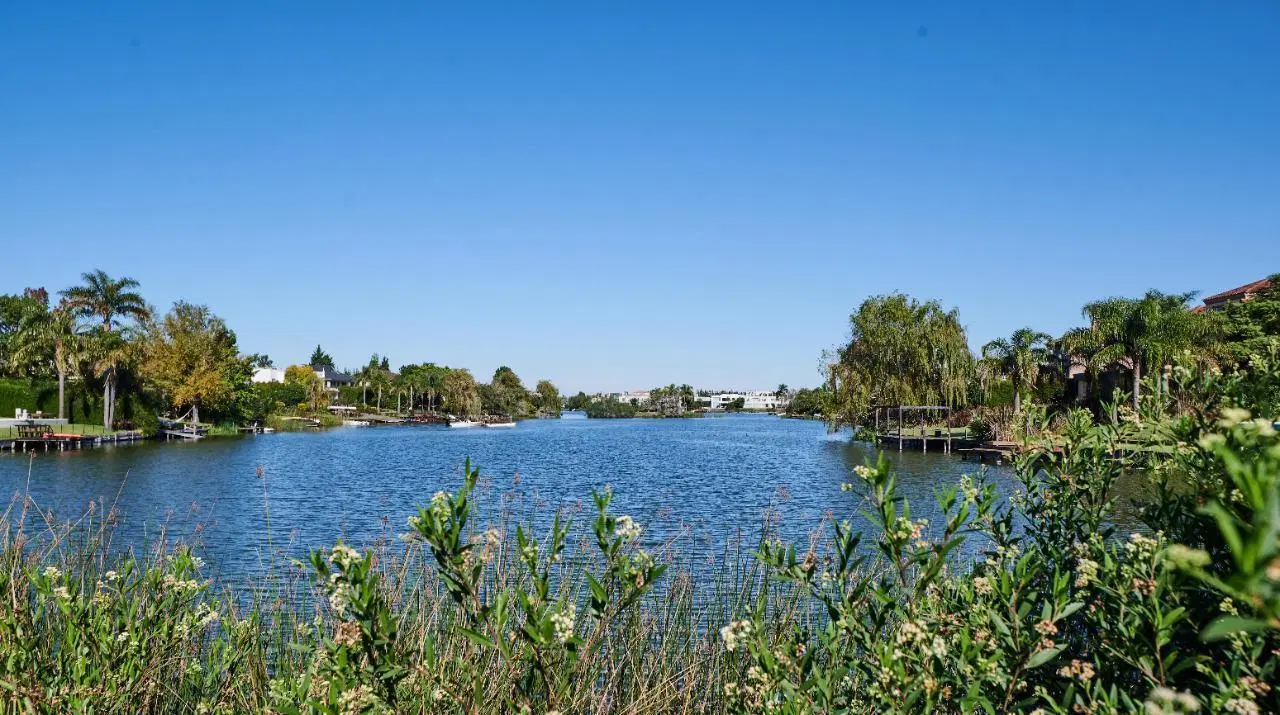 Lagunita 2