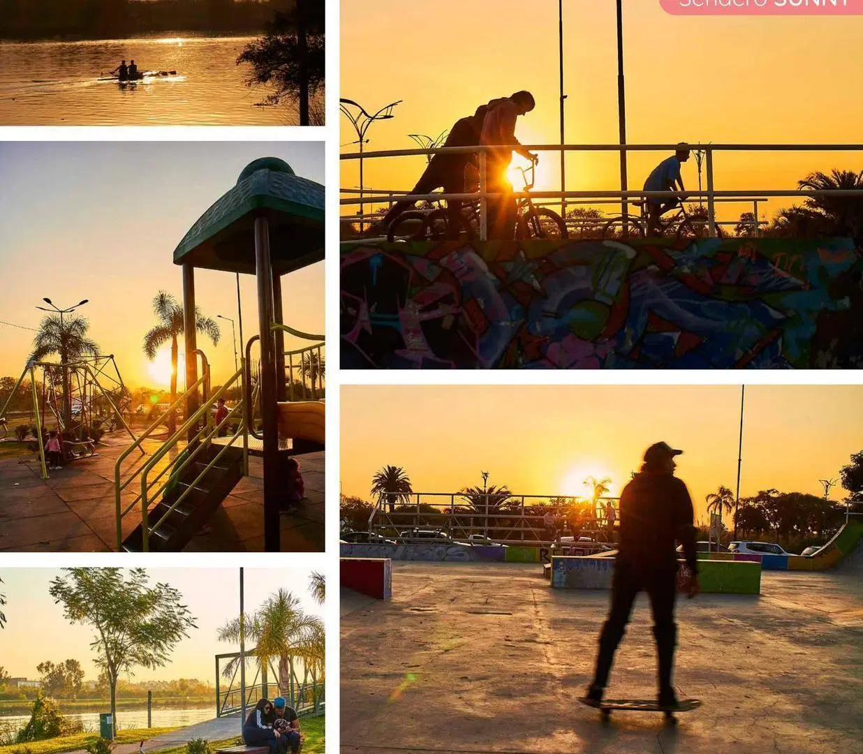 Sunny Tigre 4
