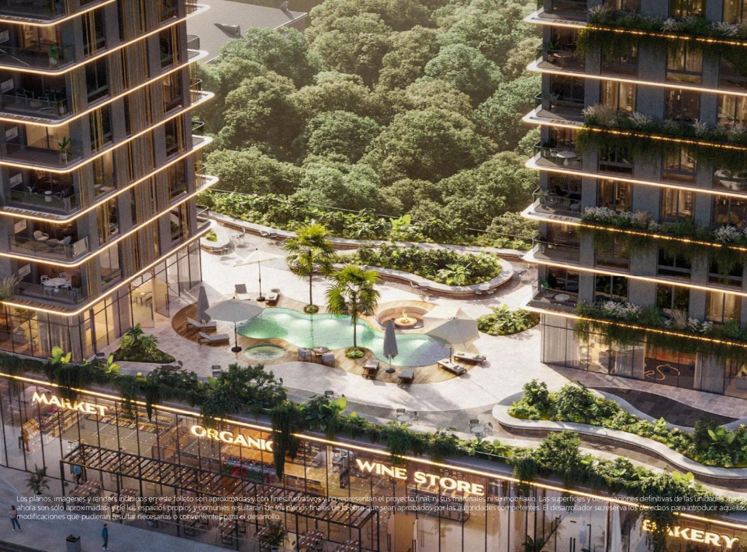 Foto de Palmera de los Remeros, imagen 4