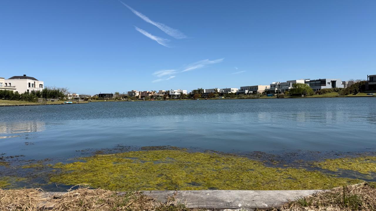 Foto de Terreno en Puertos del Lago, imagen 1