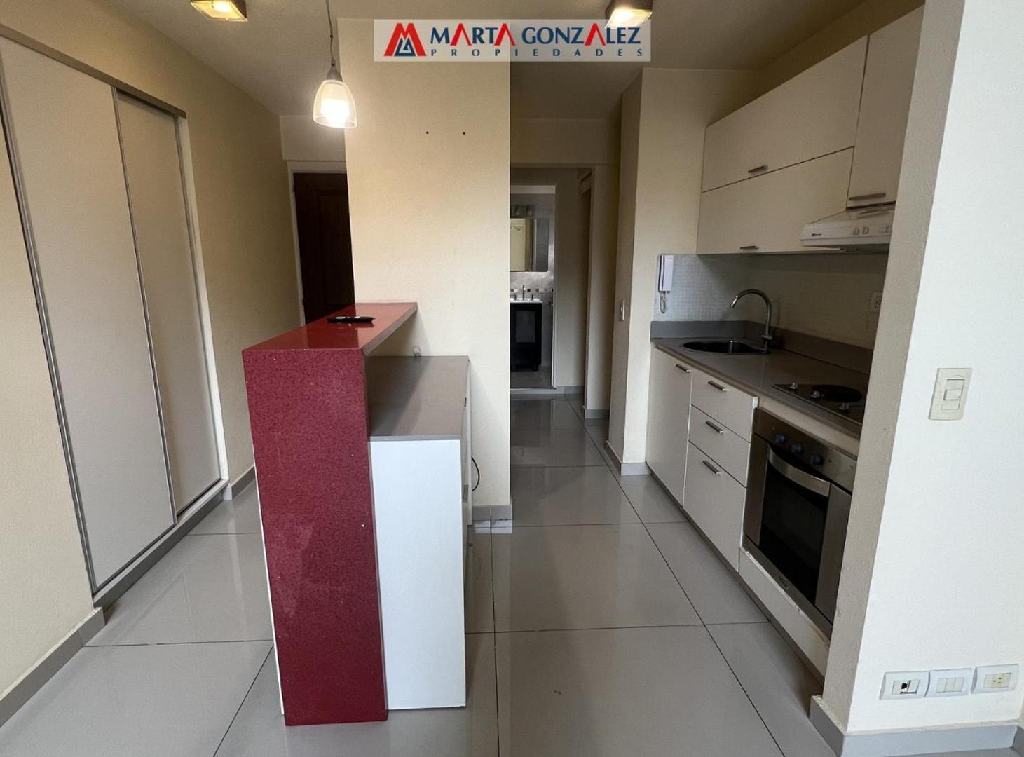 Foto de DEPARTAMENTO EN ALQUILER DOS AMBIENTES RAMOS MEJIA, imagen 2
