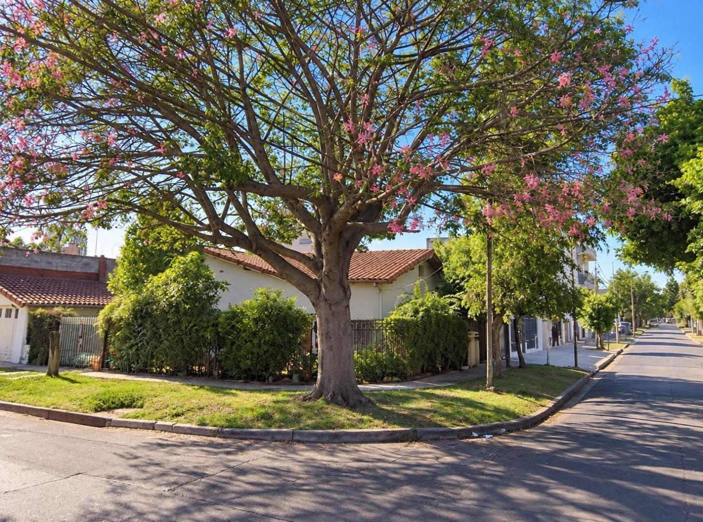 Foto de *LOTE EN ESQUINA DE 10,30 X 17,66 CON CASA DE 4 AMB. * VENTA DIRECTA!!, imagen 1