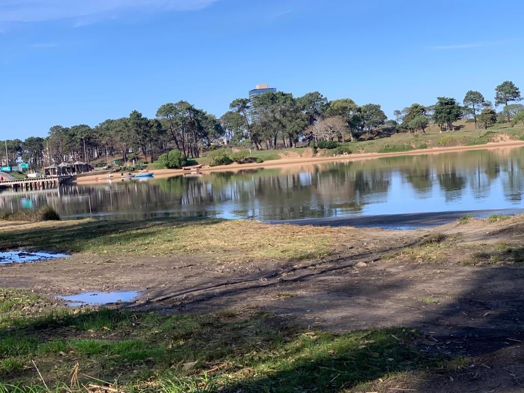 Foto de LA BARRA VENTA LOCAL MARIA Y EL LOBO TM6393, imagen 3
