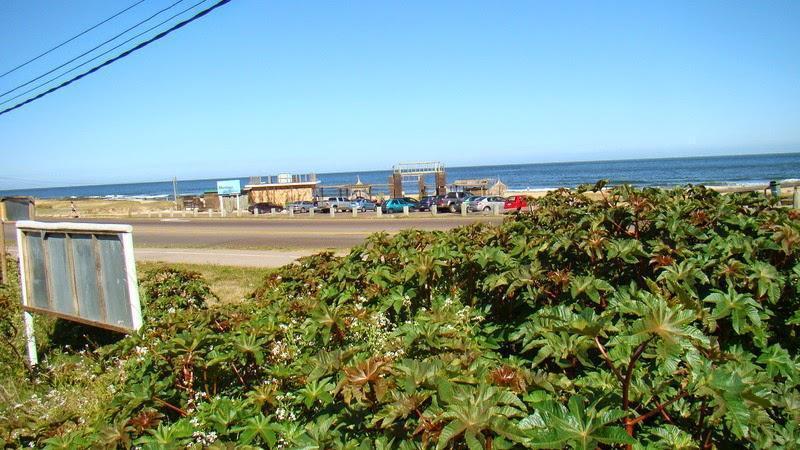Foto de MONTOYA TERRENO EN VENTA TM 5558, imagen 1