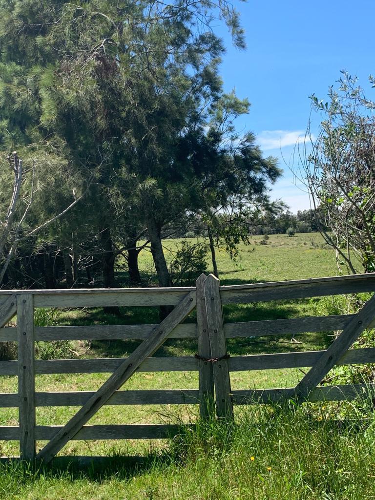 Foto de Chacra en Venta El Cabure TM5639959, imagen 1