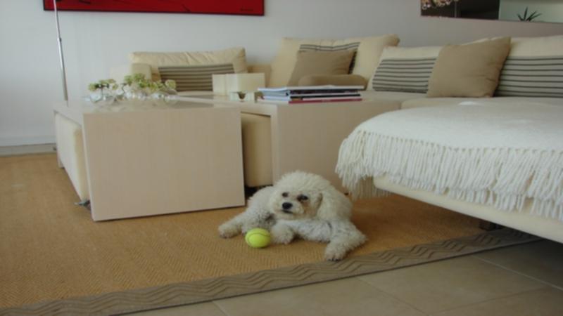 Foto de LA BARRA DEPARTAMENTO EN VENTA DELAMAR 310 tm 6537, imagen 4