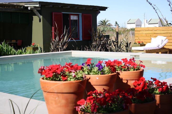 Foto de Casa en alquiler Jose Ignacio "Los Teros", imagen 4