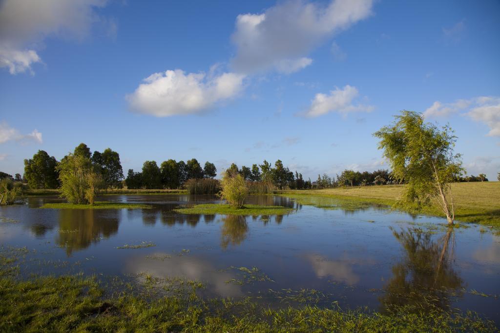 Foto de CHACRA - JOSE IGNACIO "EL LAGO", imagen 5