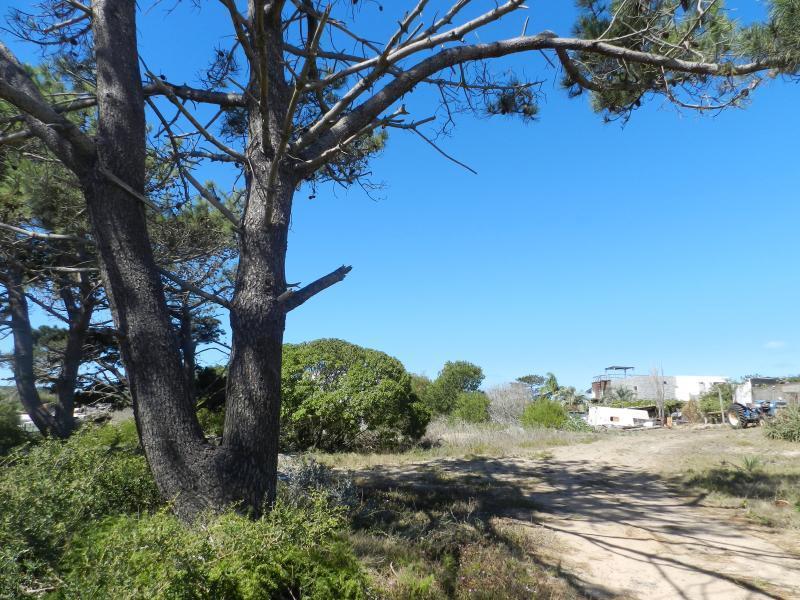Foto de TERRENO EN VENTA - LA BARRA., imagen 1