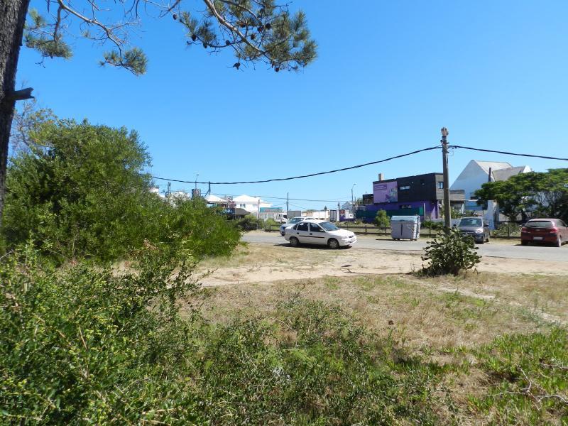 Foto de TERRENO EN VENTA - LA BARRA., imagen 4