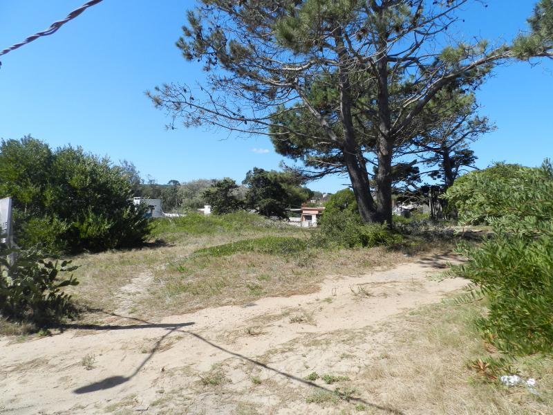 Foto de TERRENO EN VENTA - LA BARRA., imagen 3