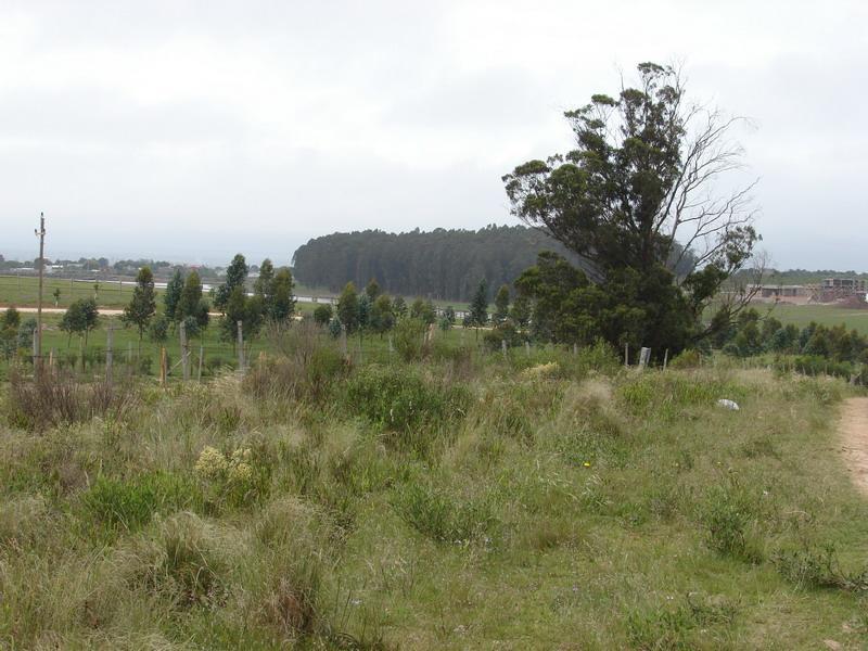 Foto de EL CHORRO CHACRA EN VENTA 18 hás subiendo por Pejerreyes TM5955, imagen 4