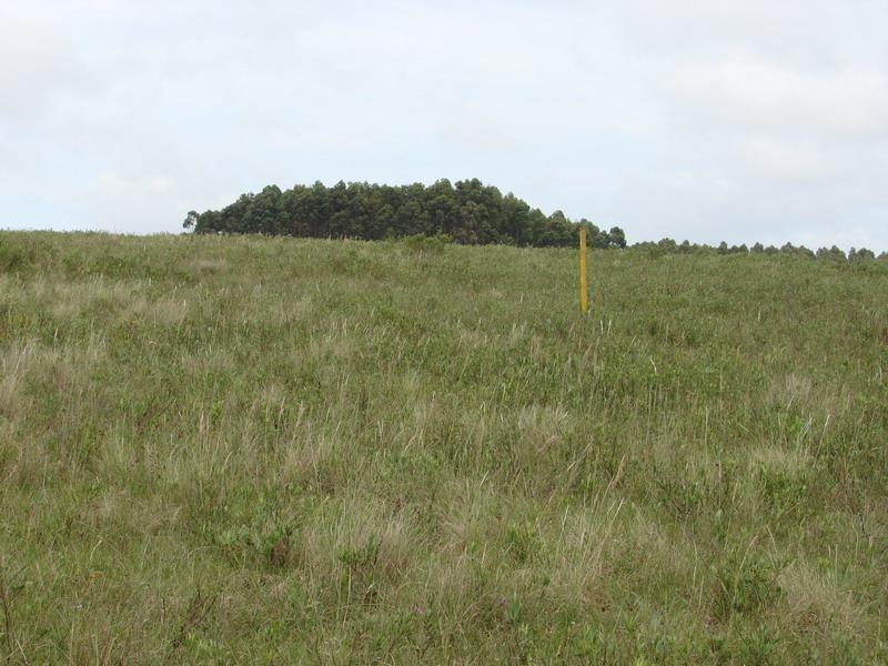 Foto de EL CHORRO CHACRA EN VENTA 18 hás subiendo por Pejerreyes TM5955, imagen 2