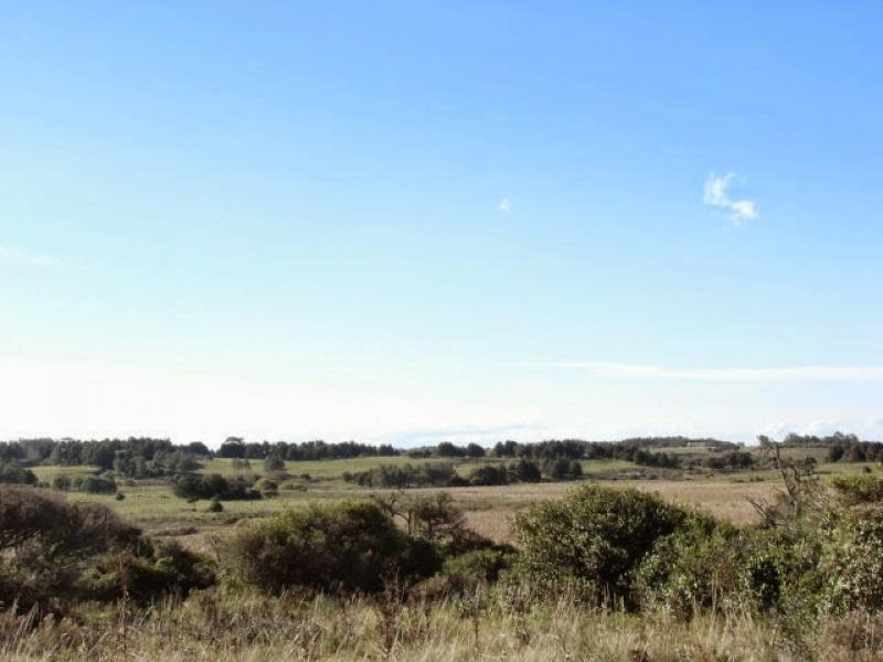 Foto de Lote en Laguna Escondida - TM41180, imagen 2