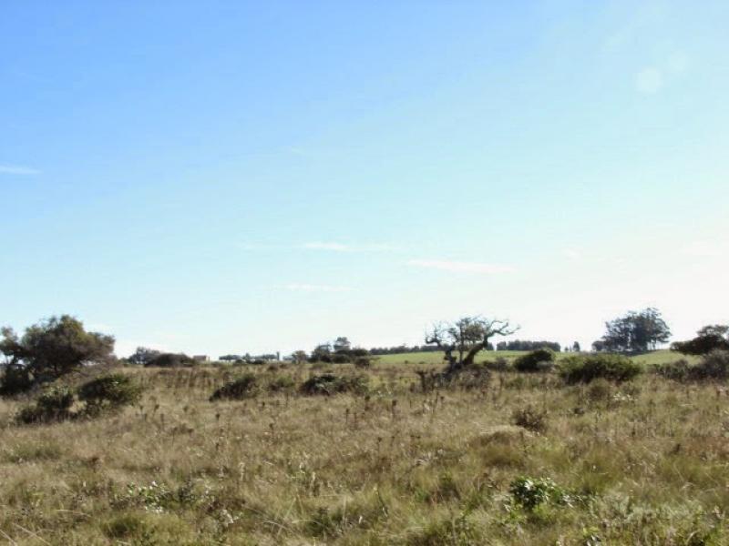 Foto de Lote en Laguna Escondida - TM41180, imagen 1