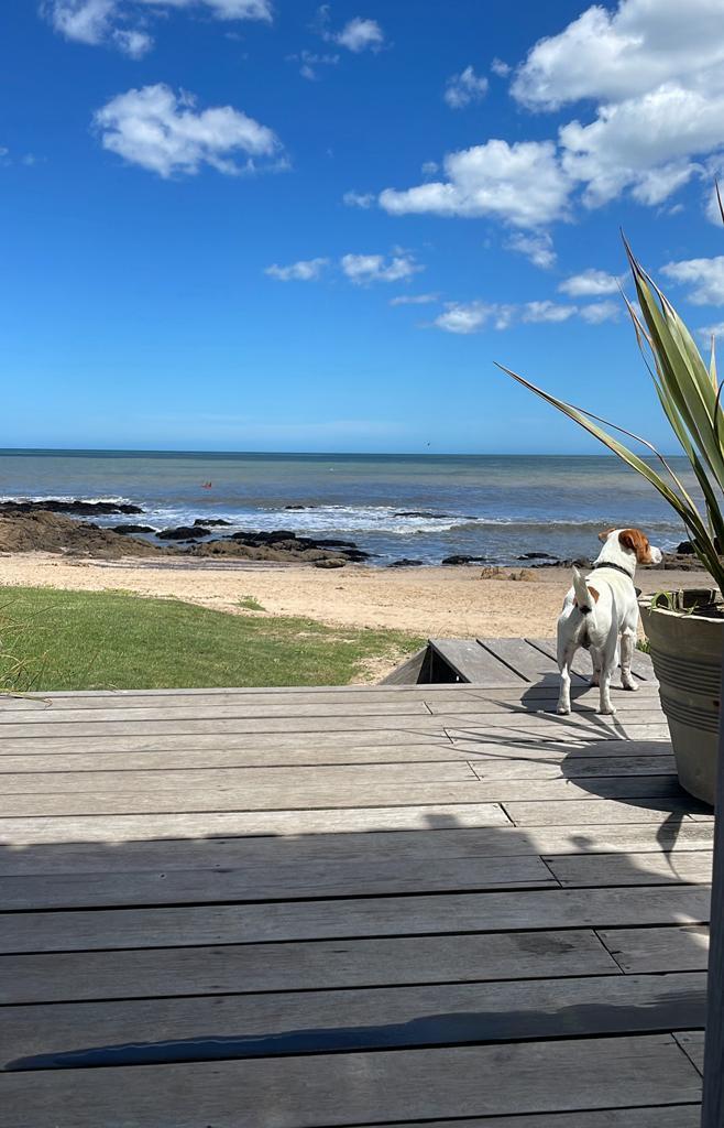 Foto de MANANTIALES ALQUILER CASA EN LA PLAYA TM6171, imagen 5