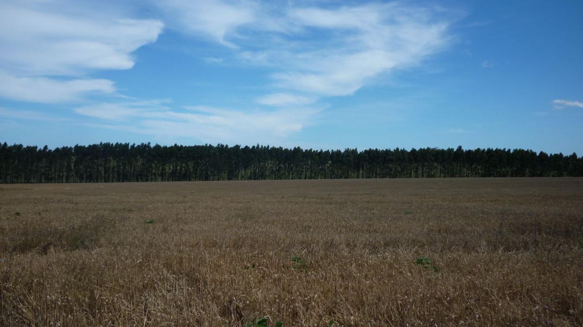 Foto de Las Garzas 142, imagen 3