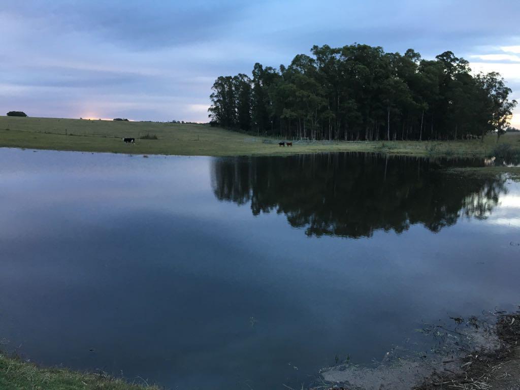 Foto de Campo sobre Laguna Garzon - TM1282269, imagen 5