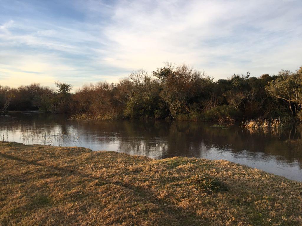 Foto de Campo sobre Laguna Garzon - TM1282269, imagen 2