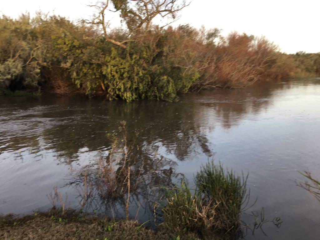 Foto de Campo sobre Laguna Garzon - TM1282269, imagen 4