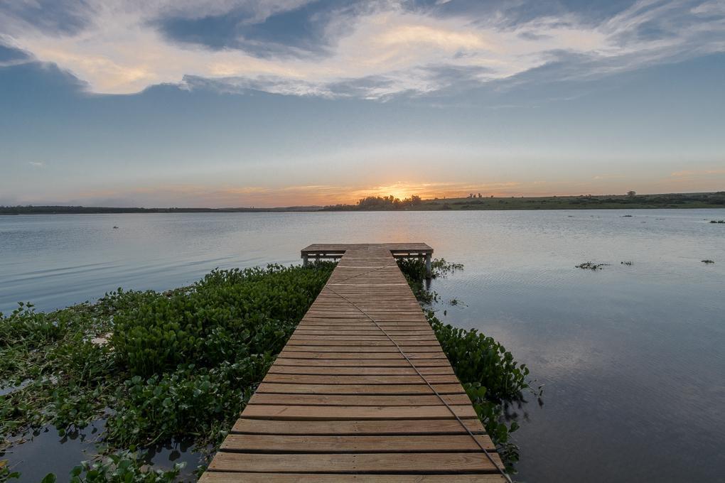 Foto de Chacra en venta en Punta Ballena, imagen 2