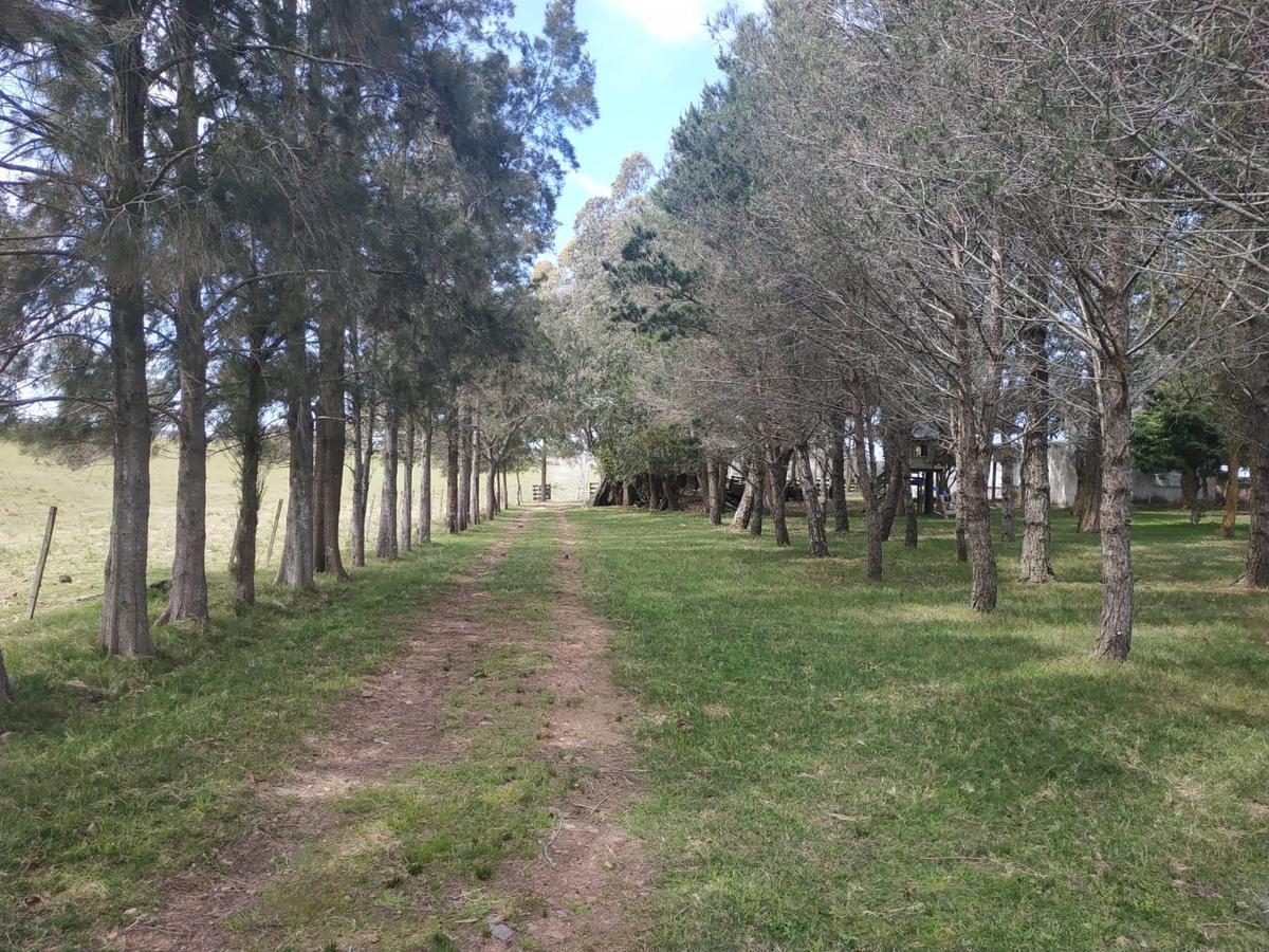 Foto de Campo - Las Garzas, imagen 5