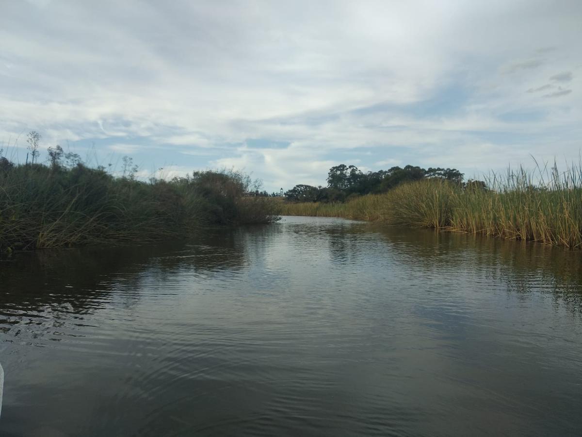 Foto de Campo - Las Garzas, imagen 1