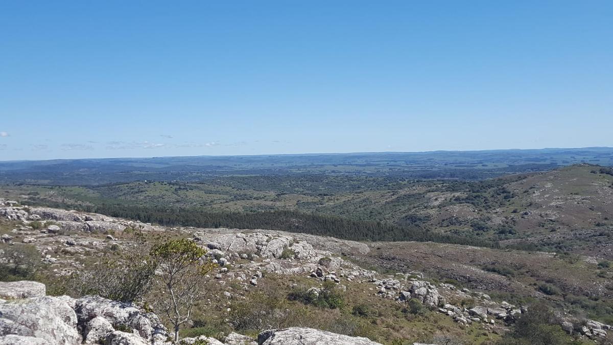 Foto de Campo - Aiguá, imagen 3