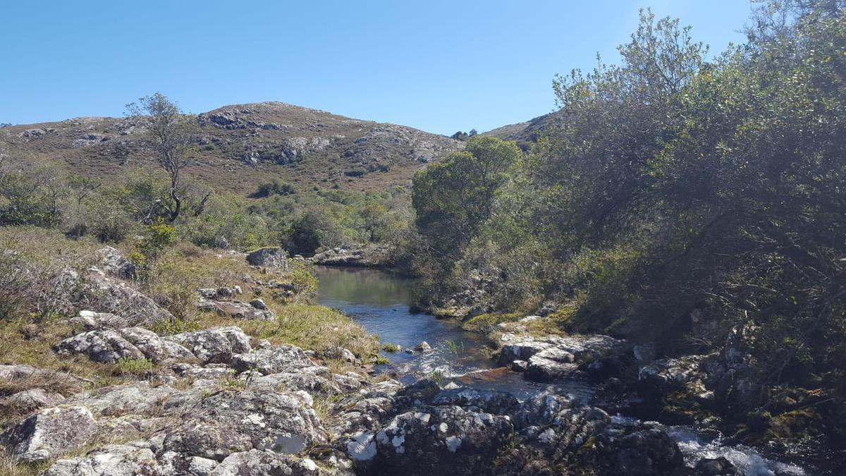 Foto de Campo - Aiguá, imagen 1