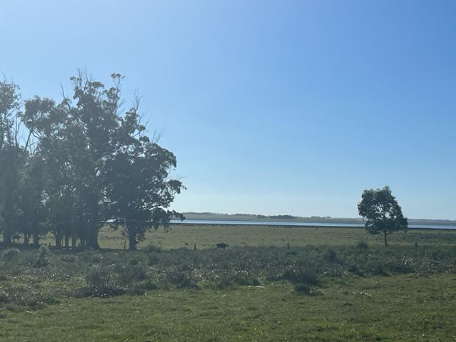 Foto de 40.5 hectáreas - Arroyo Magdalena., imagen 2