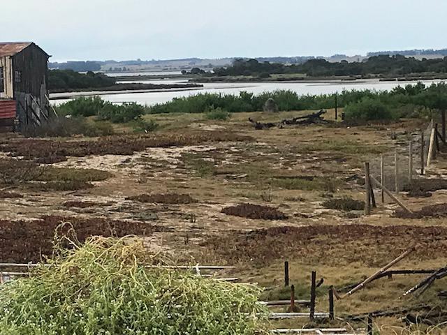 Foto de Terreno en Santa Monica - TM4147171, imagen 3