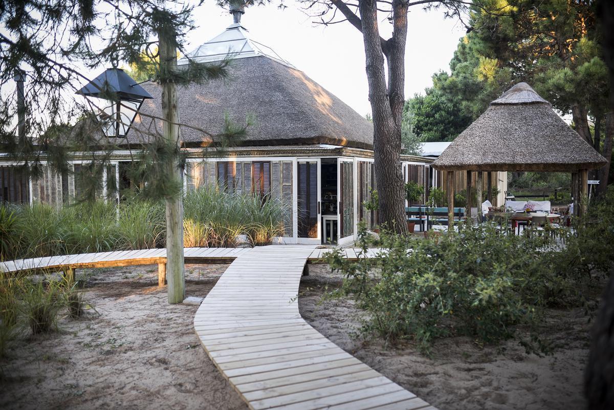 Foto de Local en Arenas de José Ignacio - TM4360130, imagen 4