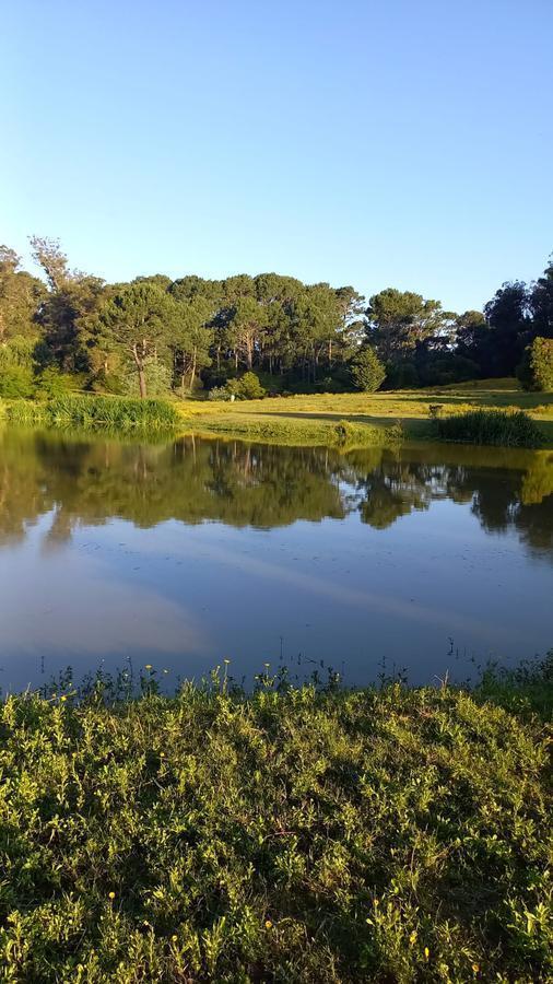 Foto de Lotes en Venta en AURA Barrio Cerrado - TM4839270, imagen 3