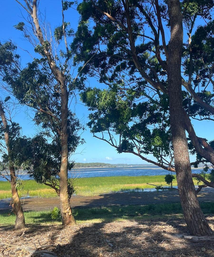 Foto de Campo en venta de 42 ha en La Rinconada - TM4936729, imagen 4
